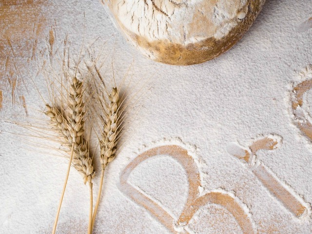 best flour for bread making
